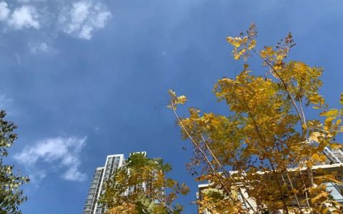 濱海人，新一波冷空氣到貨！